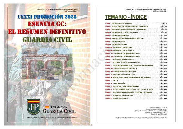 Resumen Temario 2025 - Imagen 2